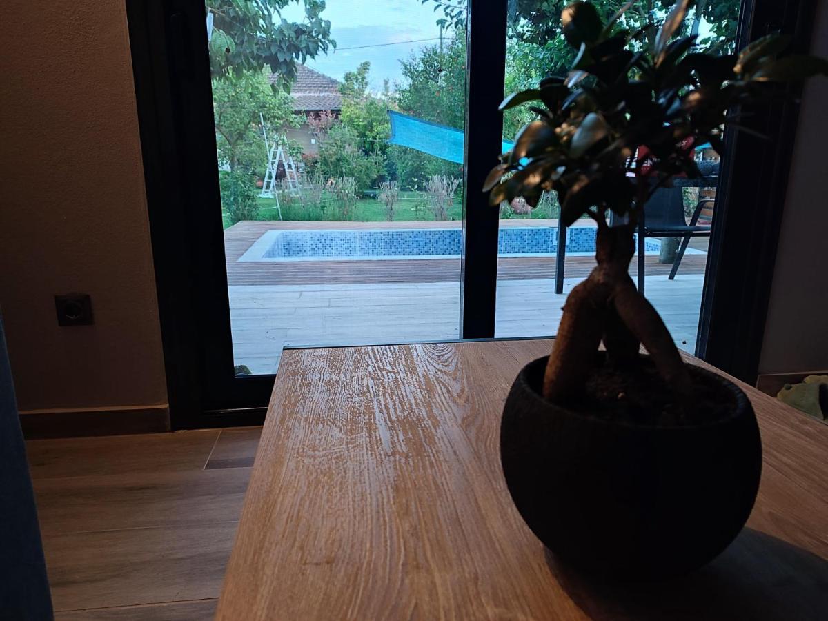 Mosquito Luxury Studio كيراموتي المظهر الخارجي الصورة